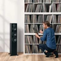 ENCEINTE PASSIVE EMIT 50