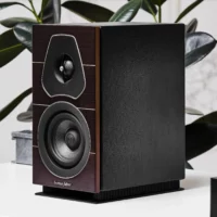 ENCEINTE PASSIVE LUMINA 1
