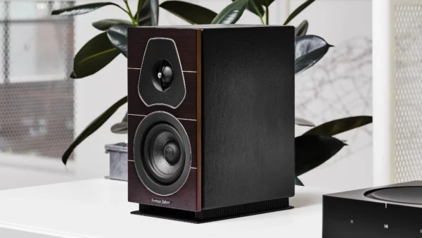 ENCEINTE PASSIVE LUMINA 1