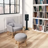ENCEINTE PASSIVE EMIT 20